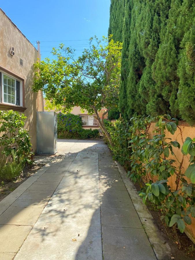 Homestay Cute Cozy In Beverly Hills