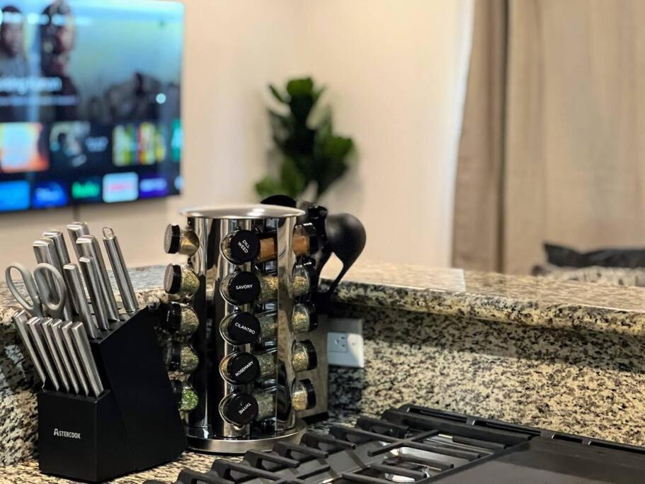Hollywood Black Habitat