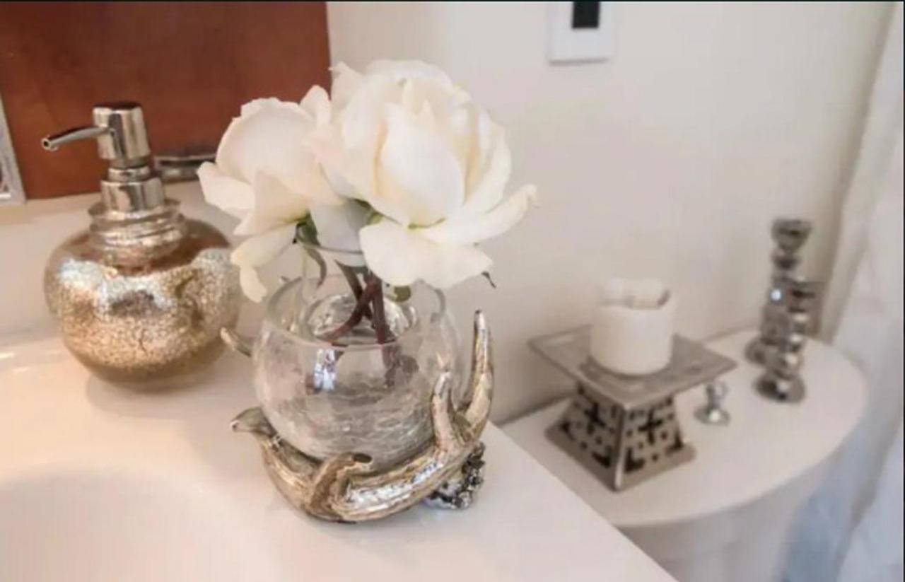 Apartment Designer Downtown Loft