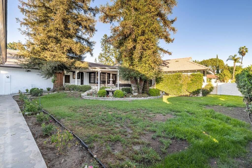 Stunning, Newly Remodeled Bright