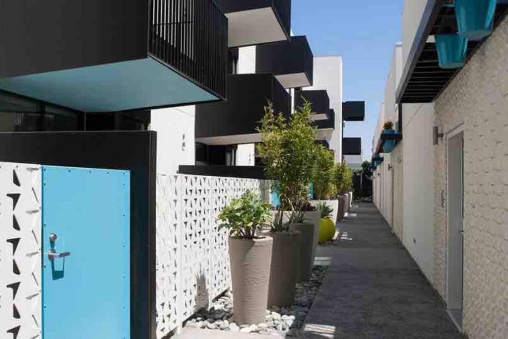 Rose In West Hollywood Apartment Los Angeles