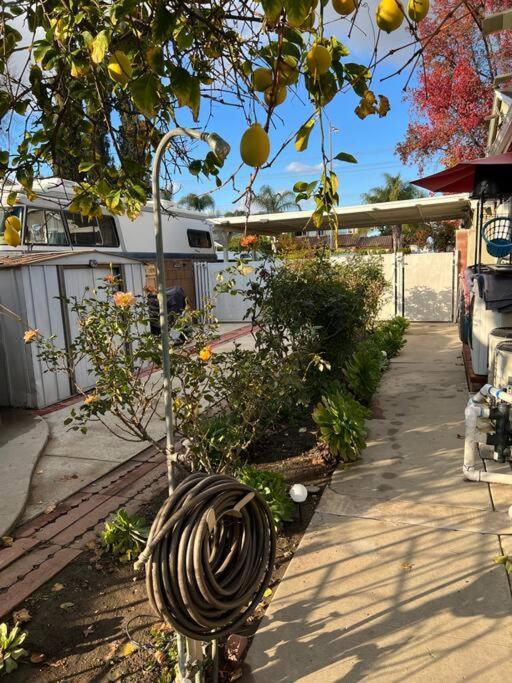 Vacation W Pool &garden 6 Guests Near Csun Holiday home *