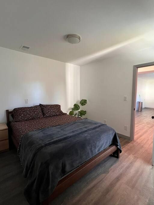 Fully Remodeled 1-bedroom House With Massive Yard