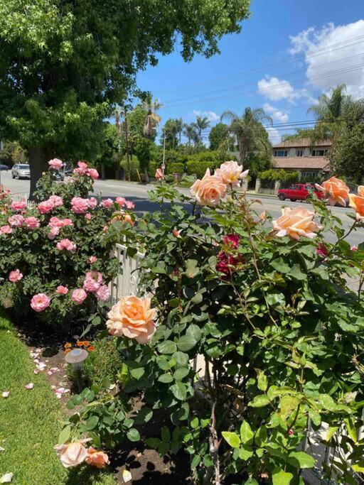 Holiday home Vacation W Pool &garden 6 Guests Near Csun