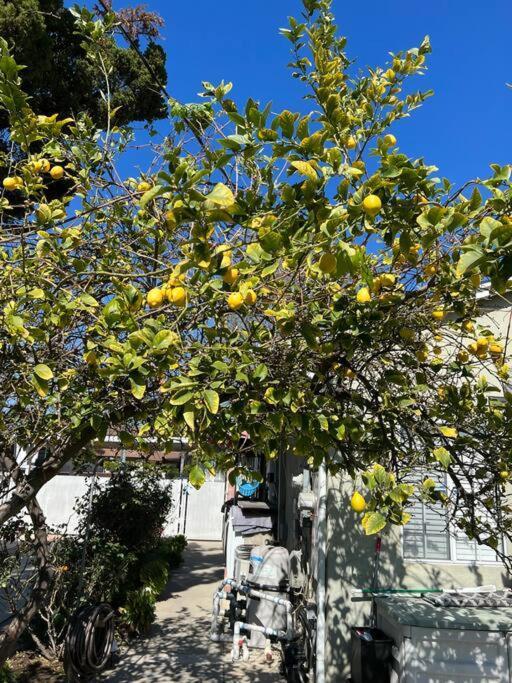 Vacation W Pool &garden 6 Guests Near Csun *