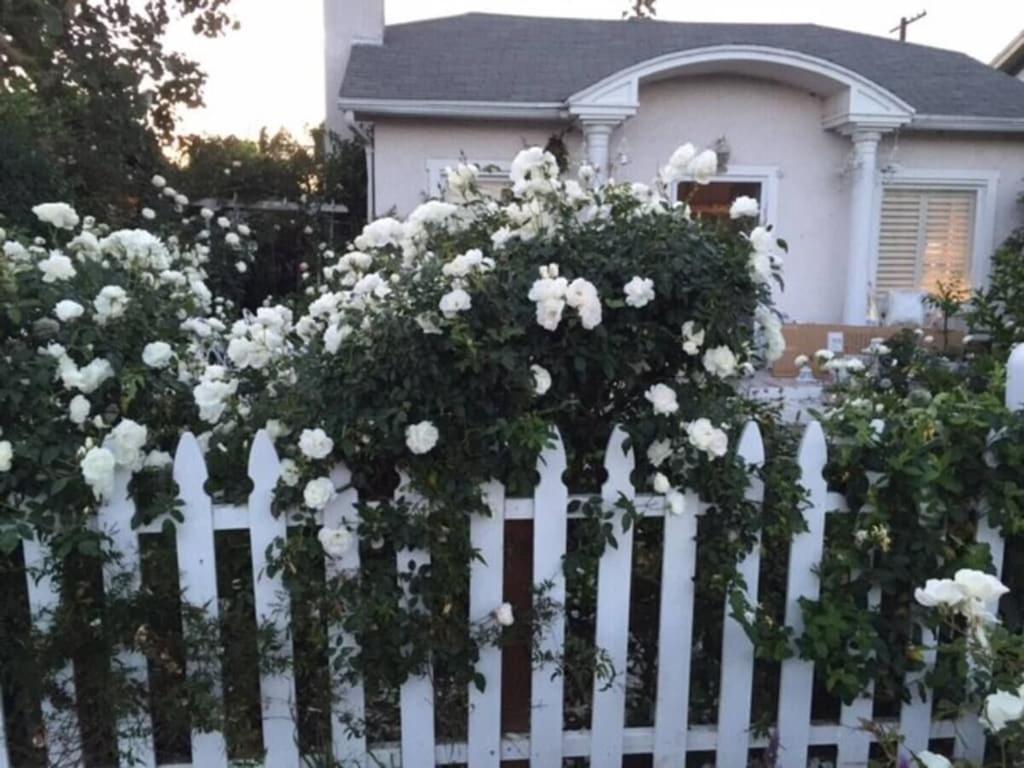 Elegant White Cottage, Venice Beach, California *