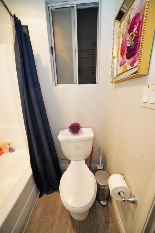 Charming Hollywood With Pool & Balcony Apartment *