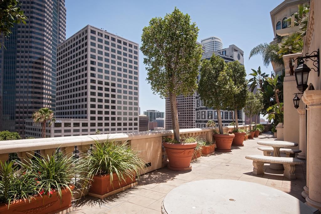 Sunshine At The Piero Los Angeles