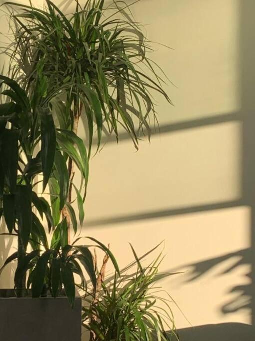 Format Stays Coliving Apartment Los Angeles