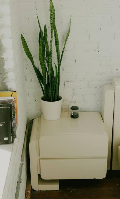 Apartment Format Stays Coliving