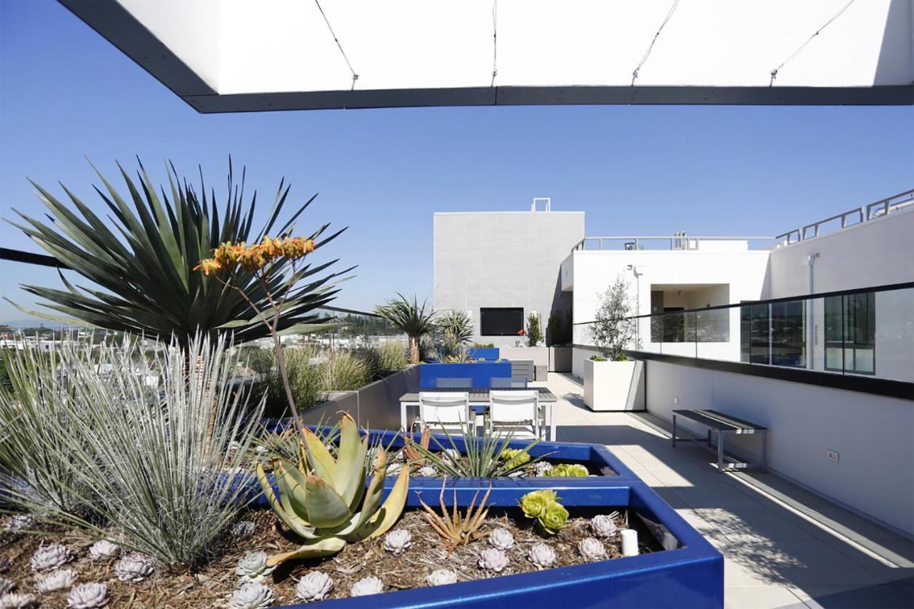 Apartment Culver 1br W Gym Roof Terrace Nr 405 Lax-1050 Los Angeles
