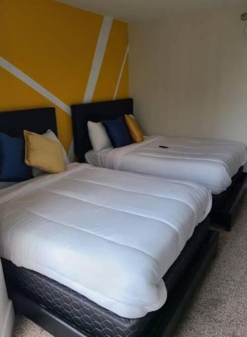 2bedroom Downtown Pool And Gym Onsite. Apartment