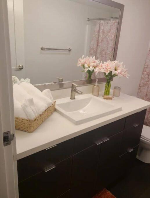 2bedroom Downtown Pool And Gym Onsite.