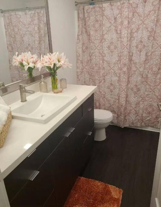 2bedroom Downtown Pool And Gym Onsite.