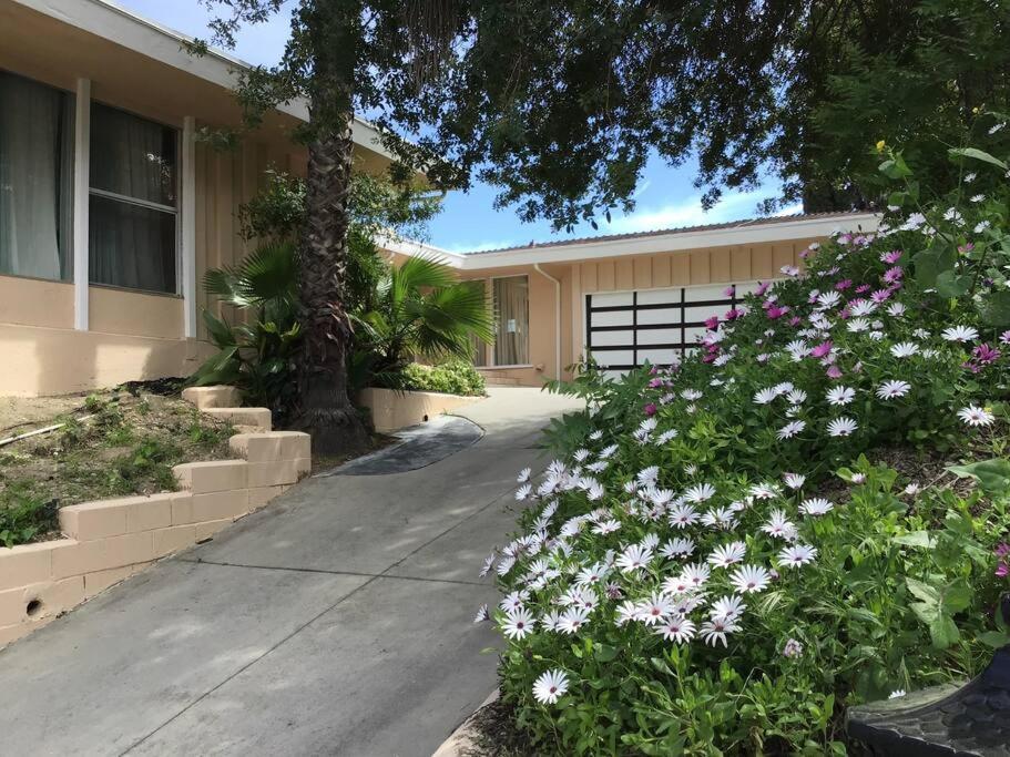 Encino Hills Luxury With Gorgeous View Villa