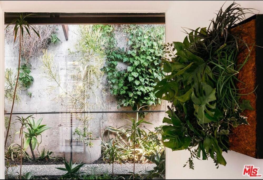 Urban Oasis: Stylish Mid-century In Weho *