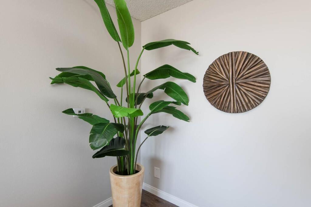 Hollywood 2bed Apt W Rooftop Pool & Panoramic View 211 Apartment Los Angeles