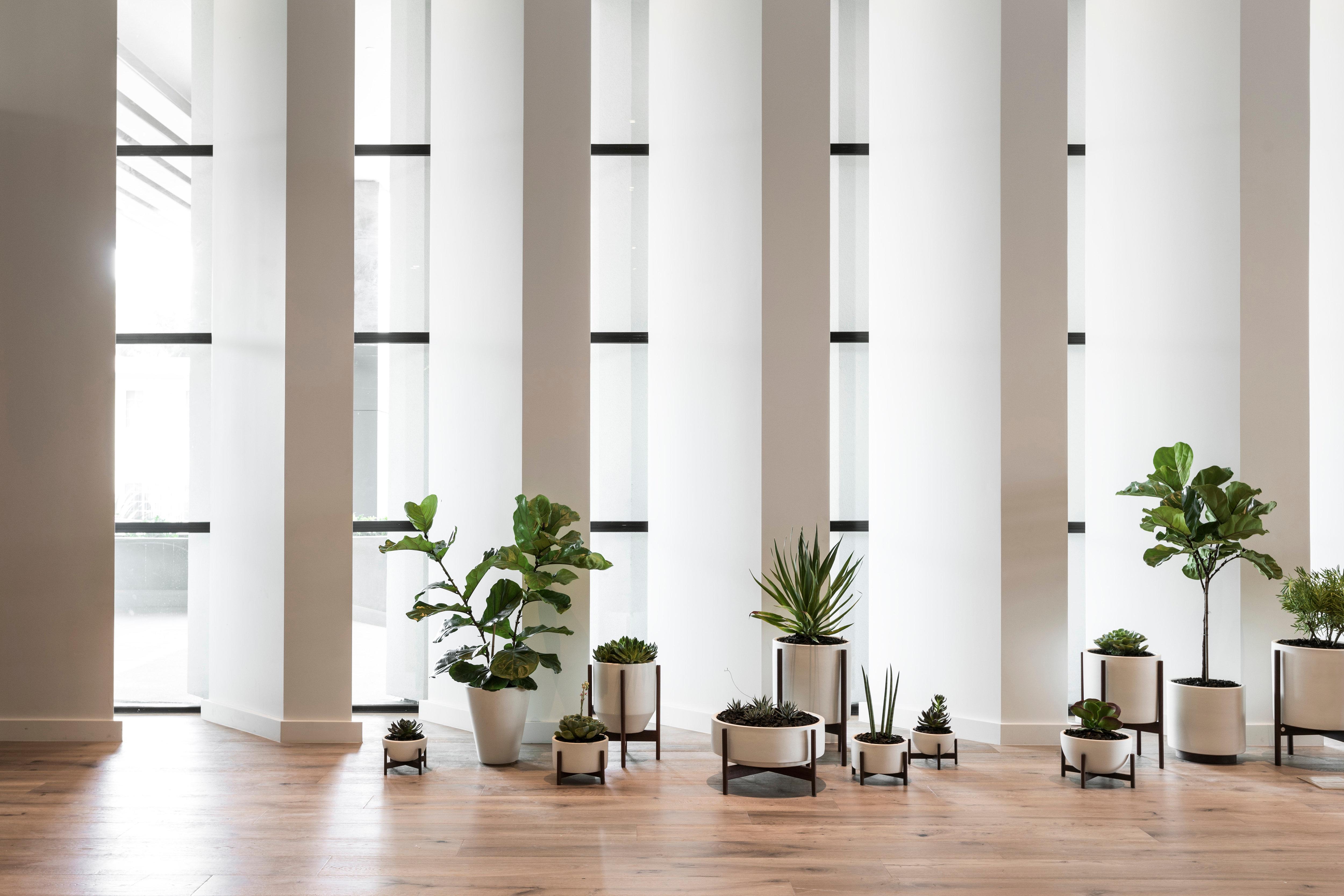 Hotel Kimpton Everly Hollywood By Ihg Los Angeles