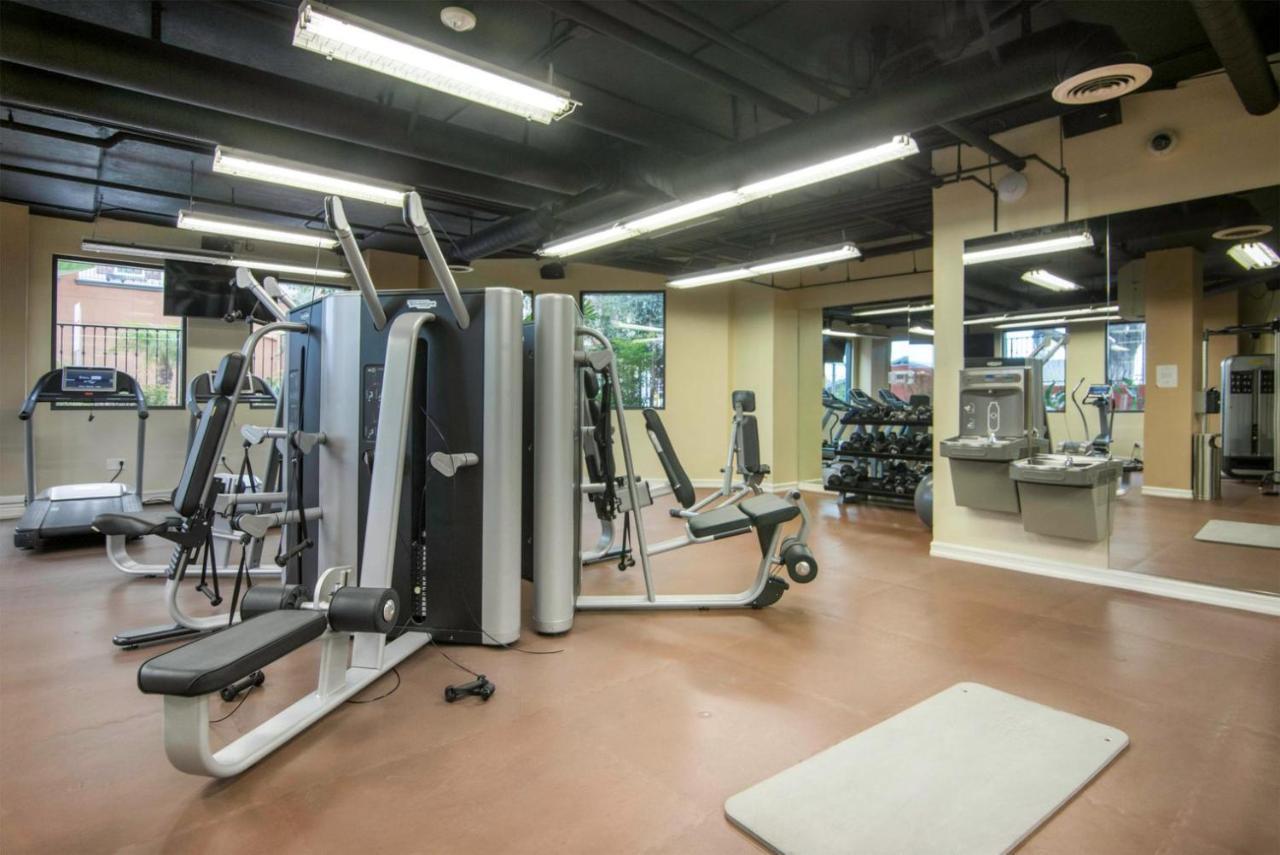 Playa Del Rey 1br W Balcony Pool Gym Sky Deck Lax-119 Apartment *