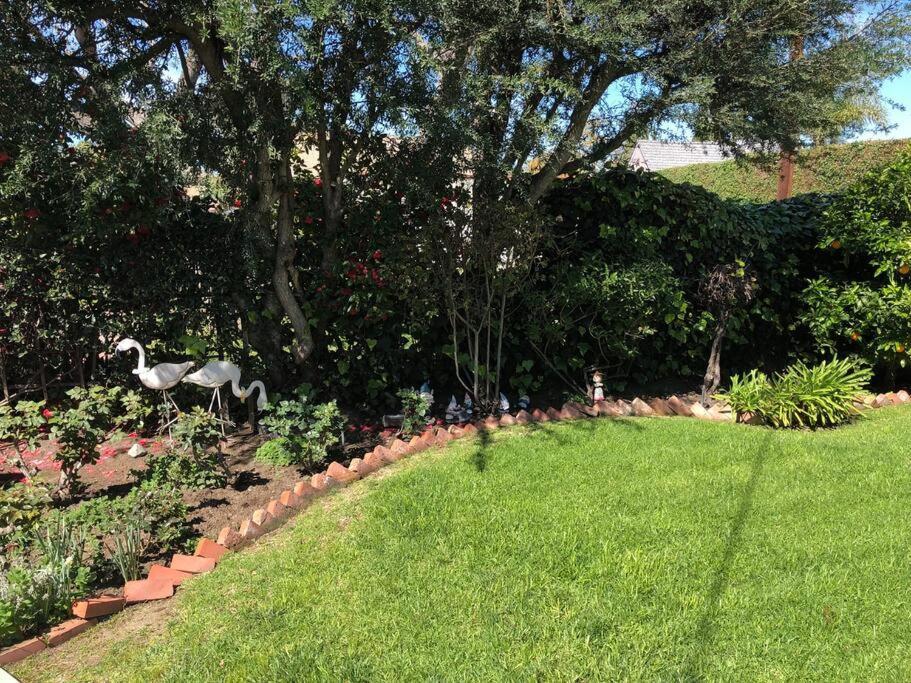 Apartment 1 Bedroom House In Beverlywood/carthay Square *
