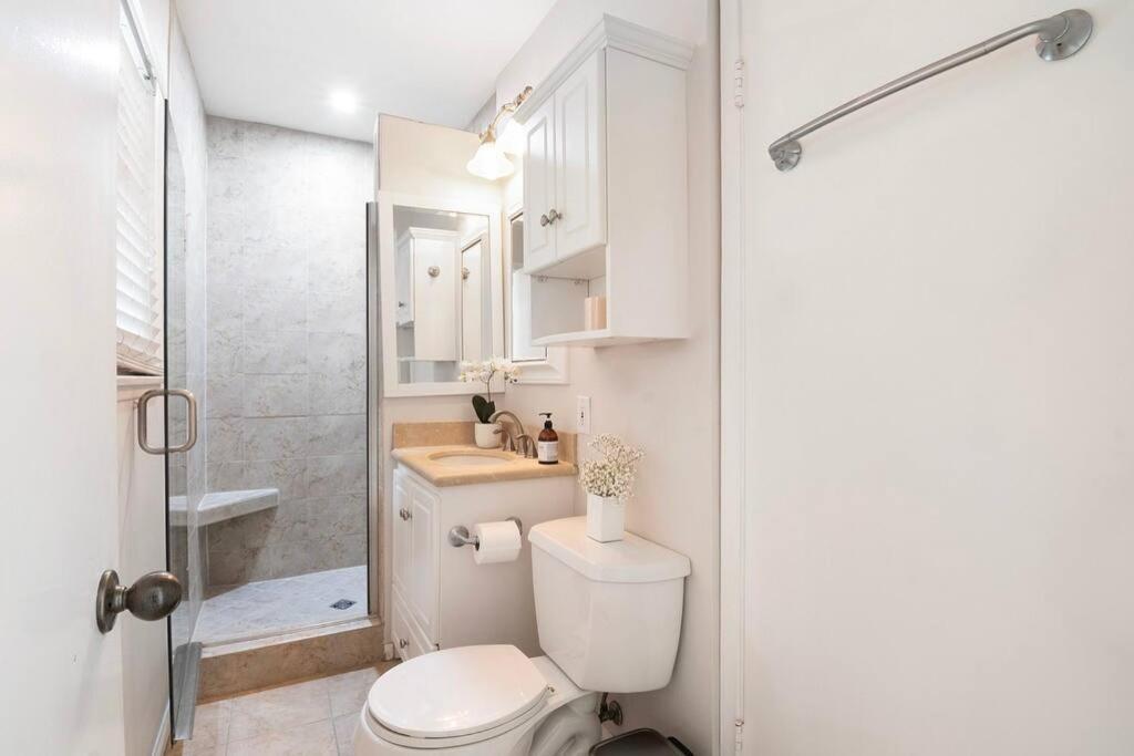 Large With Pool + Jacuzzi Holiday home