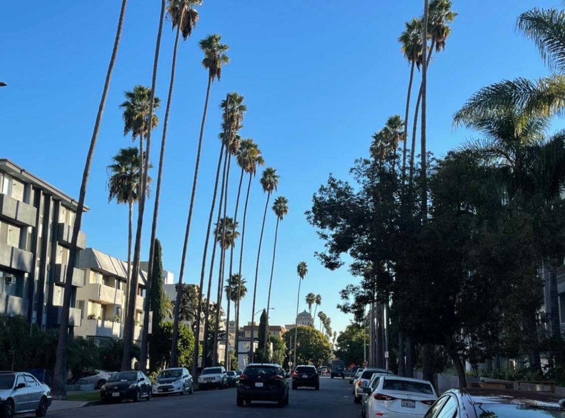 Wonderful La * Los Angeles