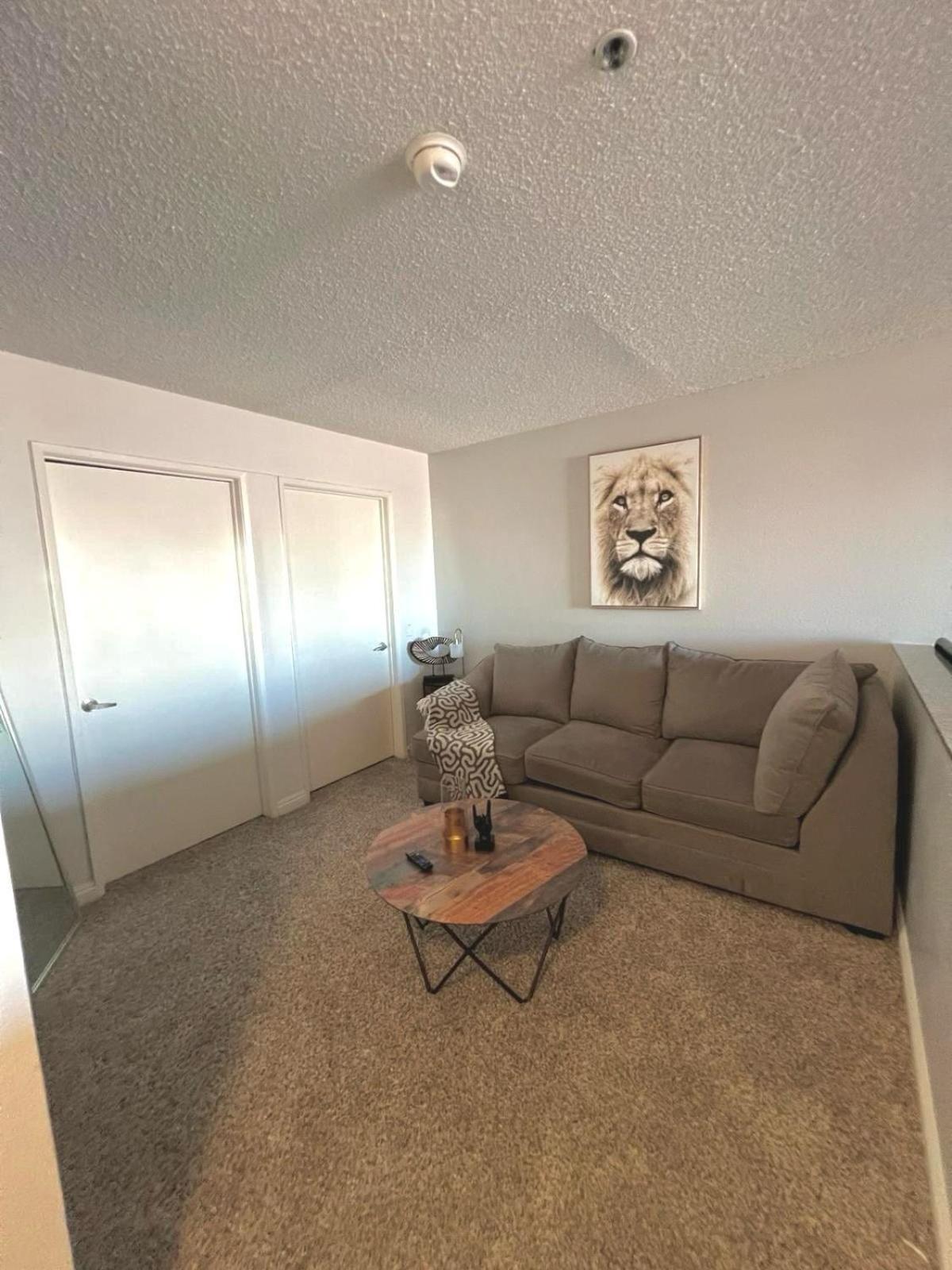 Amazing Universal Loft Free Parking Apartment *