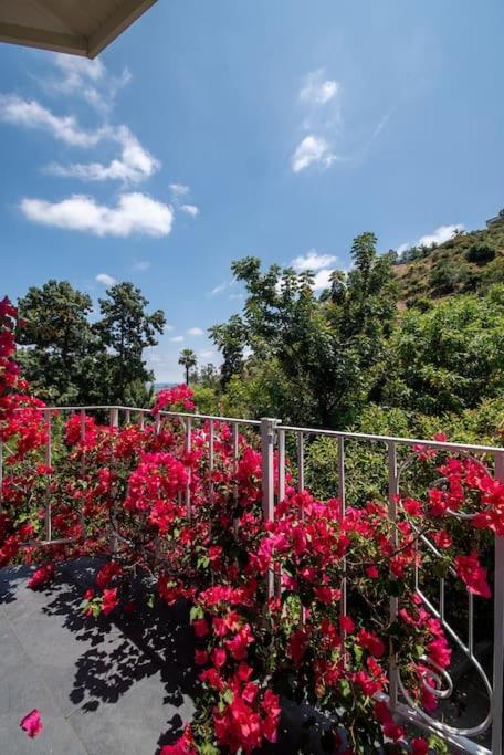 Stunning Hollywood Midcentury Modern-views-best Location! Los Angeles