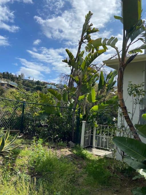 Stunning Hollywood Midcentury Modern-views-best Location! Holiday home Los Angeles