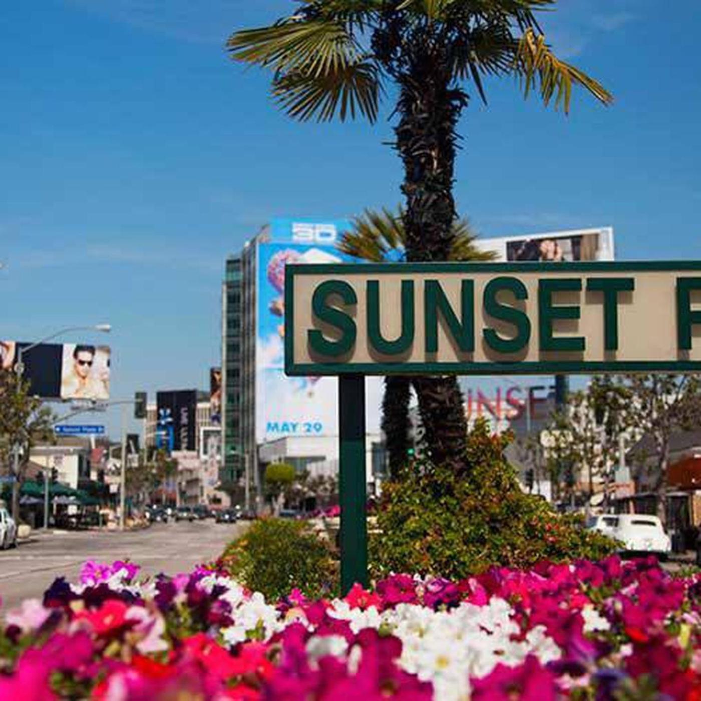 Amazing Large 2 Bedroom West Hollywood *