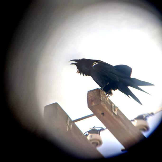 Epic Views! Hollywood Hills Skyvilla: Crow's Nest Los Angeles