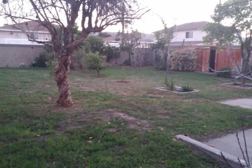 Family Getaway 3 Bedroom 2 Bath In Lomita, Ca.