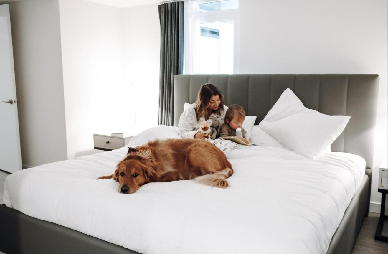 Level Downtown La South Olive Hotel *