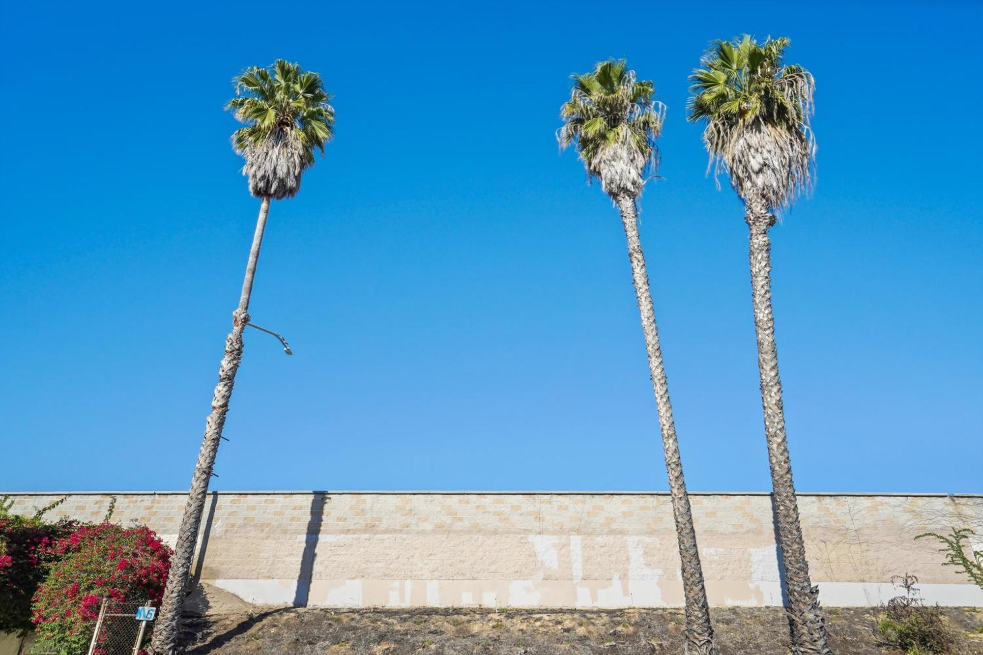 Eye-opening And Ultra-secure Luxury Hollywood Bed & Breakfast *