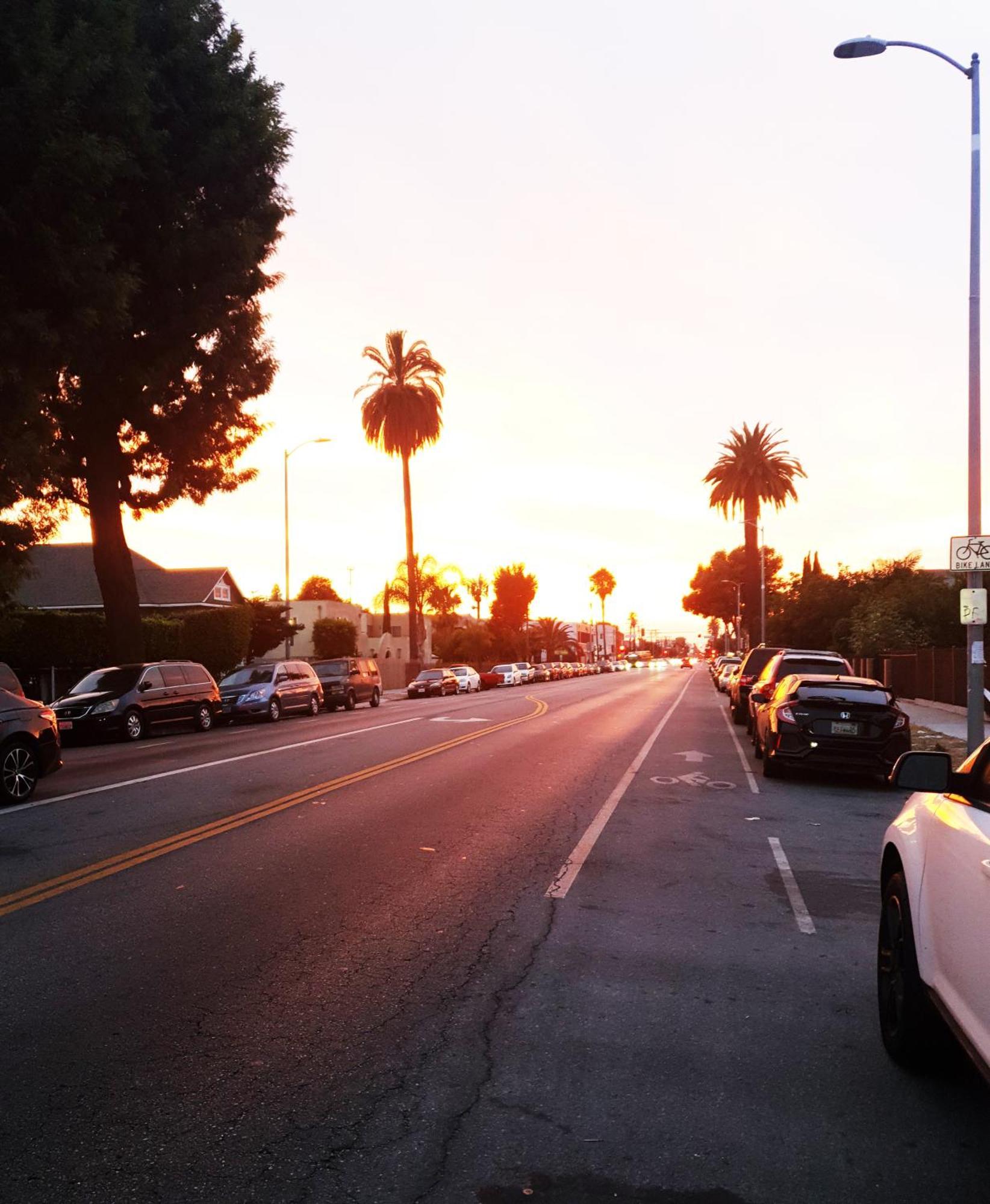 Pineapple * Los Angeles