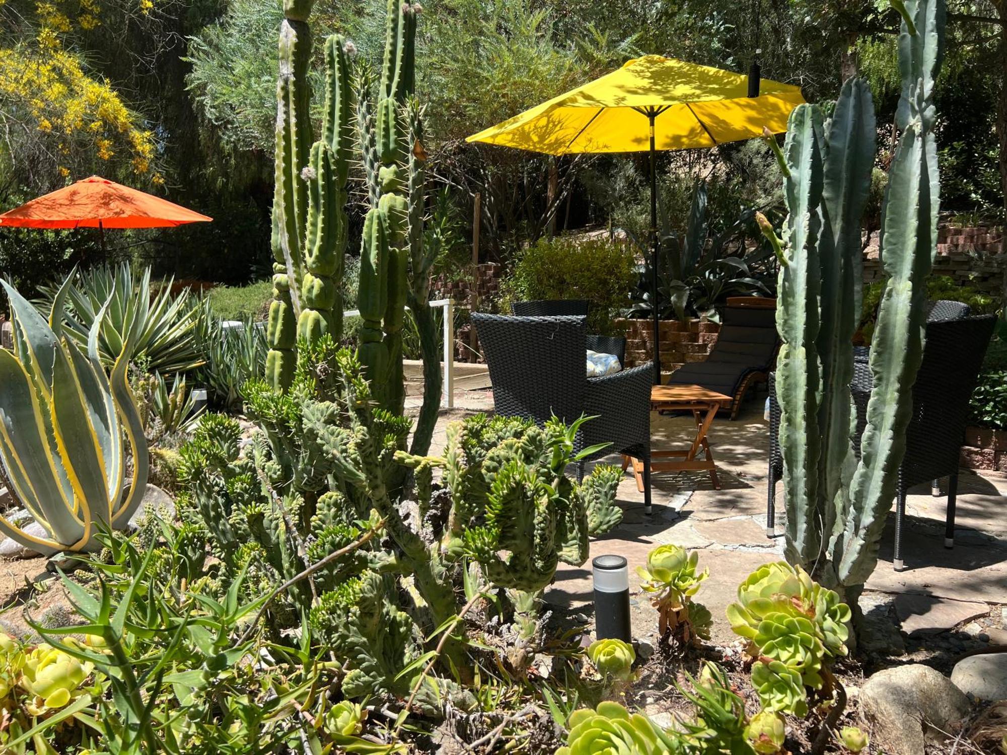 La Reforma - Newly Designed 4br House & Pool In Angeles By Topanga *