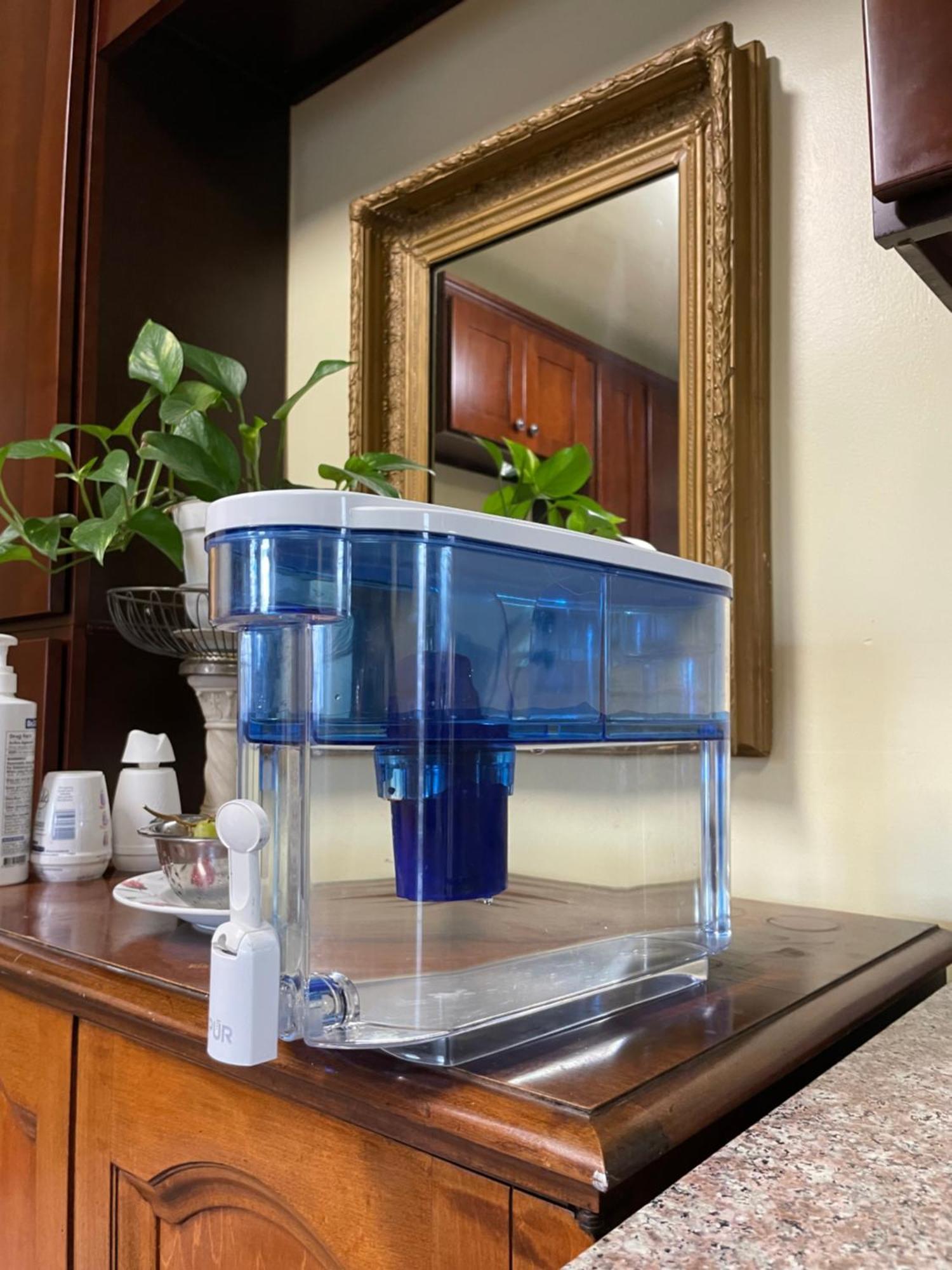 Homestay Cozy Usc-adjacent Suite: Private Oasis With Modern Amenities *