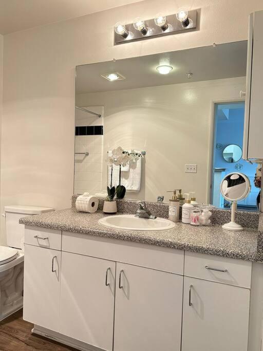 Luxe Marina Del Rey Apartment,parking, Gym, Pool, Jacuzzi,bbq Los Angeles