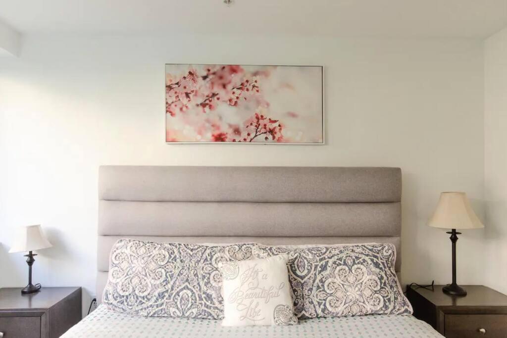 Apartment Stylish 3bed Highrise With Pool, Spa, Rooftop Deck *