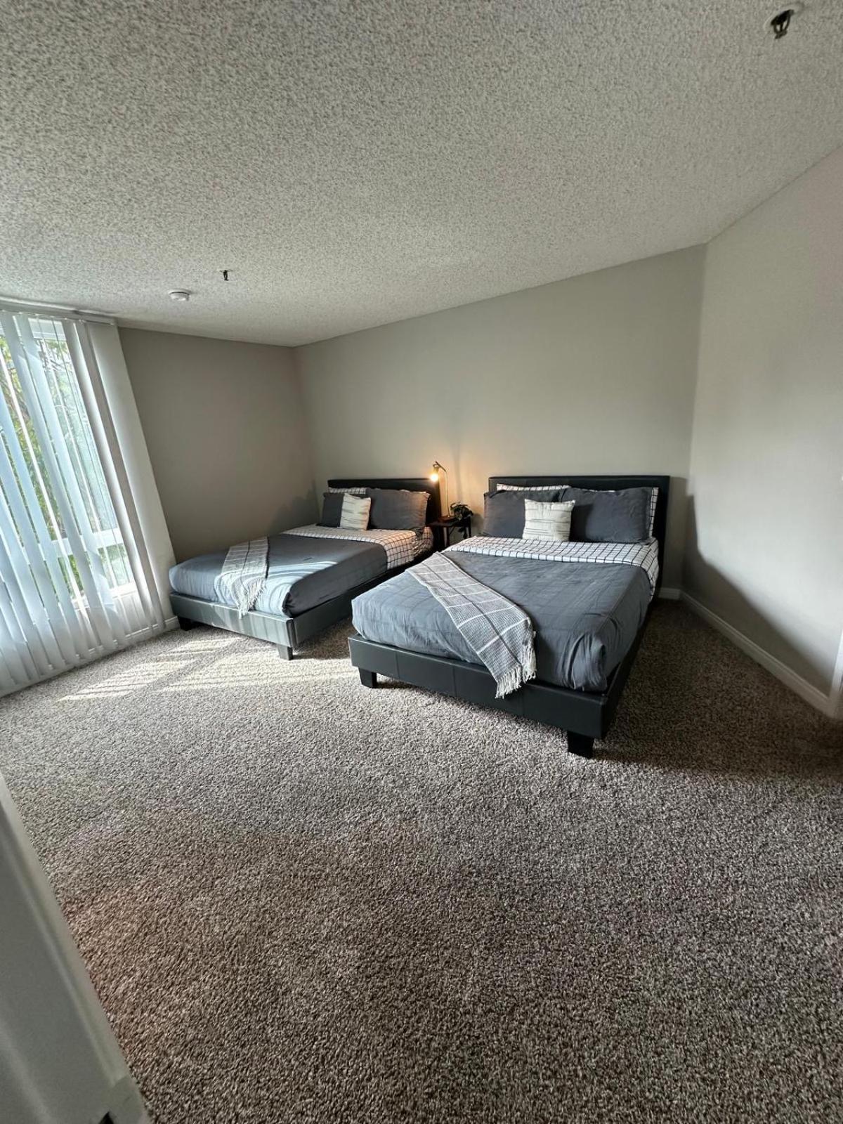 Incredible Two Bedroom Hollywood Free Parking