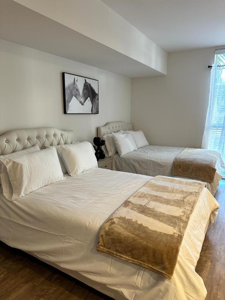 Universal 10 Min Drive Free Parking And Wifi * Los Angeles