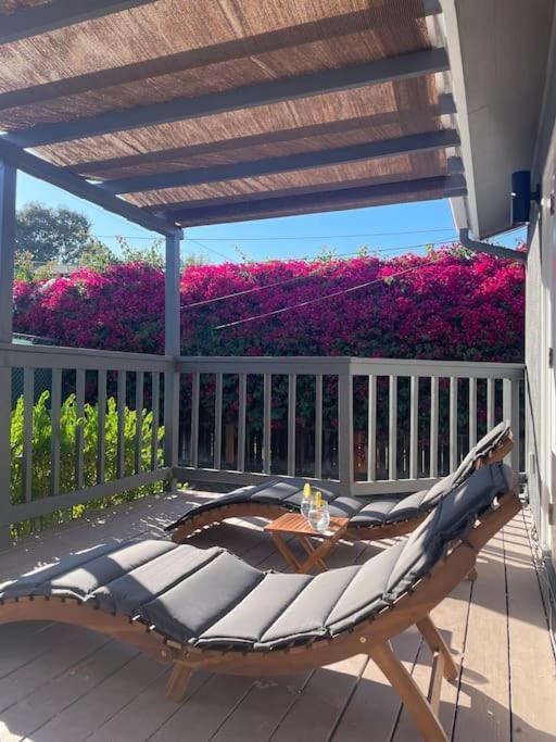 Sunny And Stylish 4be 2ba Venice Oasis