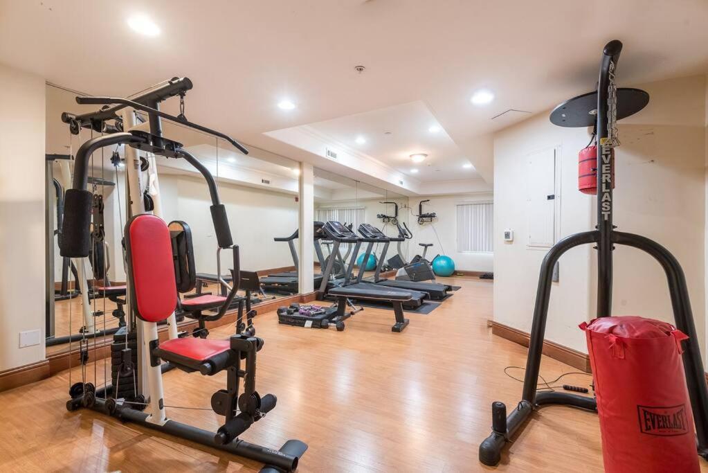 Apartment La's Hidden Gem Your Private Escape