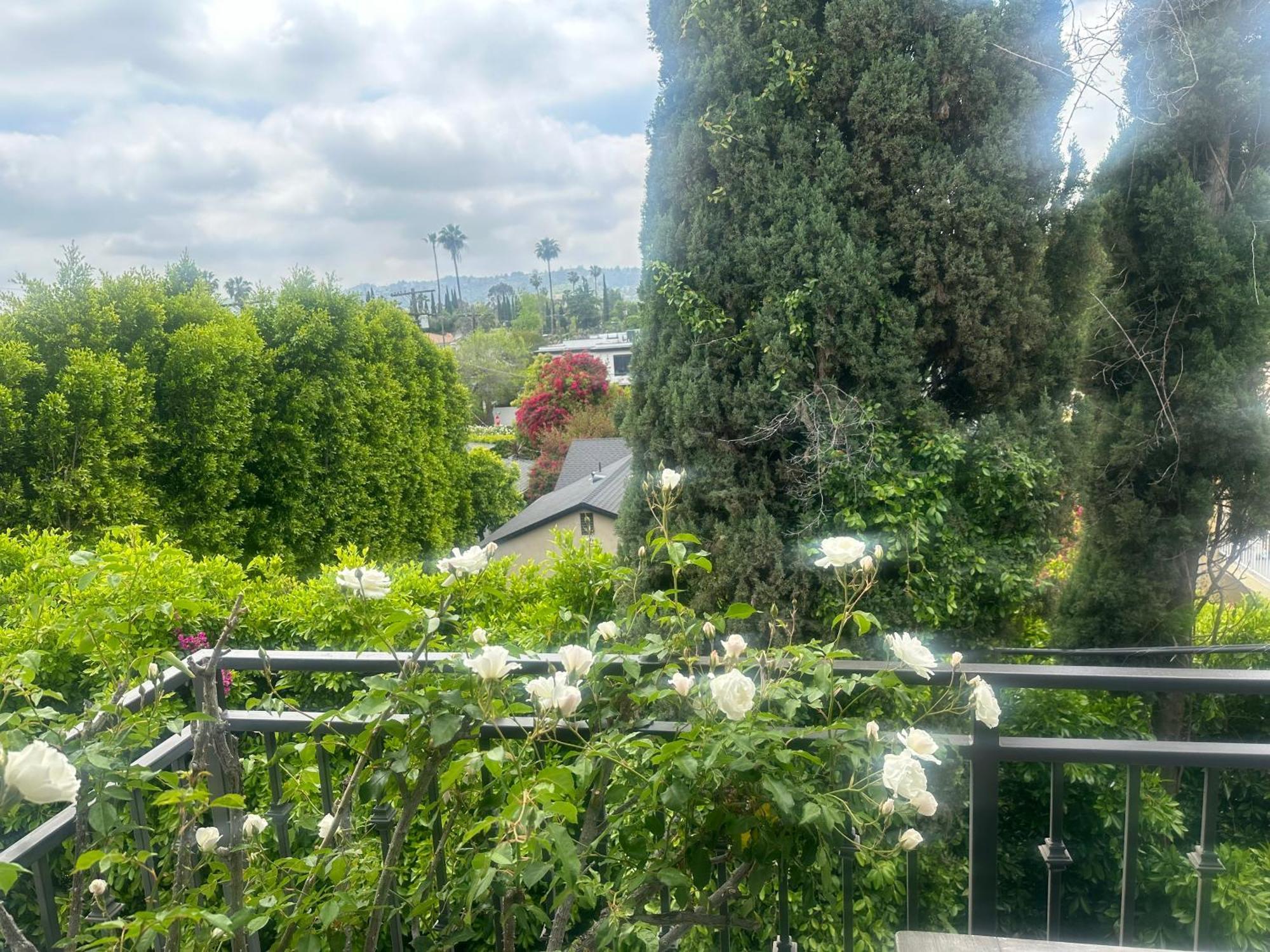 Elegant - Location * Los Angeles