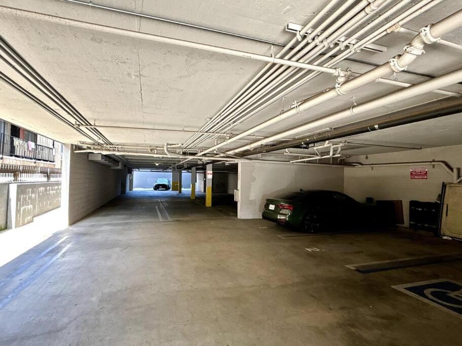 Birdwatcher's Quiet Perch 3bd 2ba W Parking
