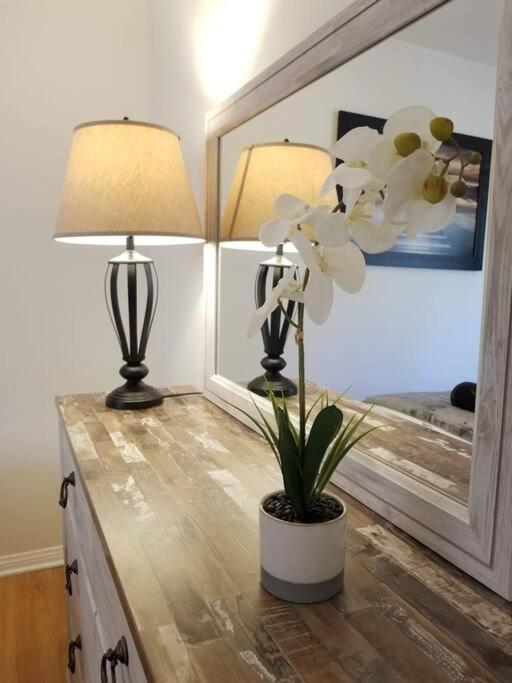 Luxury And Spacious 5 Bedroom Private House By Melrose Wifi Tv Backyard Free Parking Close To The Grove Hollywood Walk Of Fame Casa de férias Los Angeles
