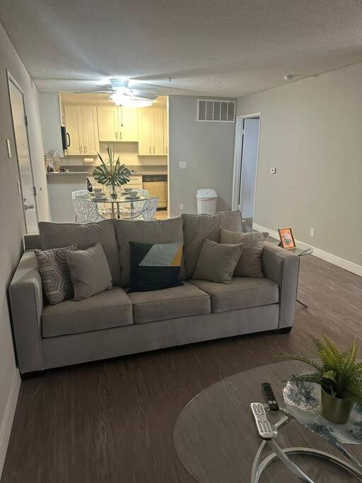 Apartment Two Bedroom Hollywood