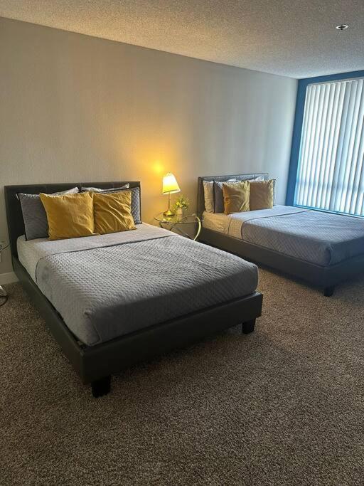 Apartment Two Bedroom Hollywood *