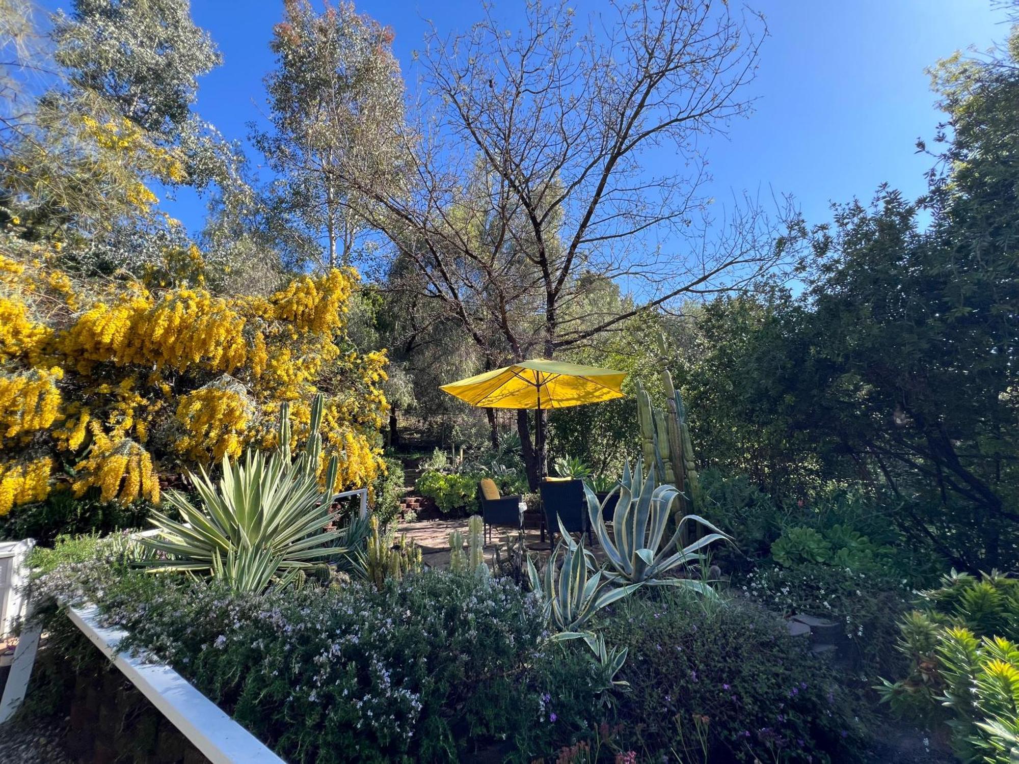 La Reforma - Newly Designed 4br House & Pool In Angeles By Topanga Villa Los Angeles