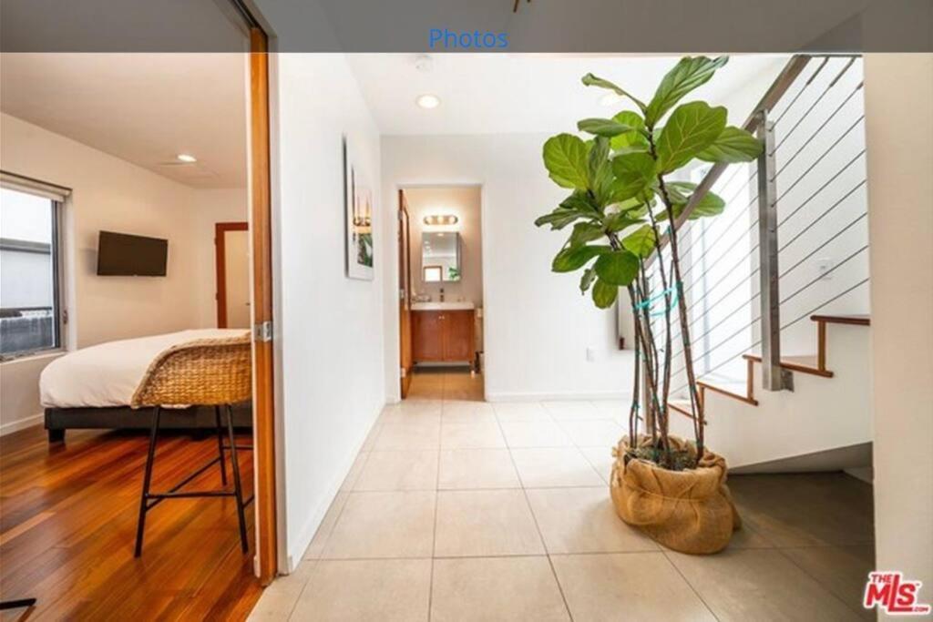 The Orange Blossom Venice Luxury 3 Bdrs 3 Bthrs